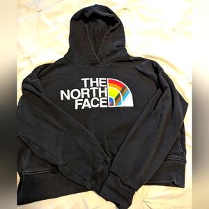 The North Face Cropped Half Dome Pride Hoodie Size Medium